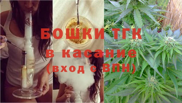 индика Горнозаводск